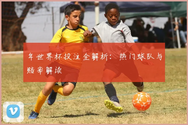 年世界杯投注全解析：热门球队与赔率解读