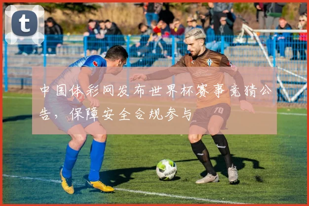 中国体彩网发布世界杯赛事竞猜公告，保障安全合规参与