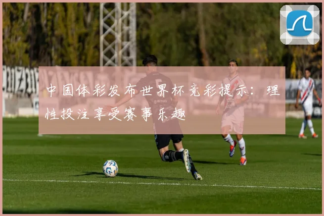 中国体彩发布世界杯竞彩提示：理性投注享受赛事乐趣