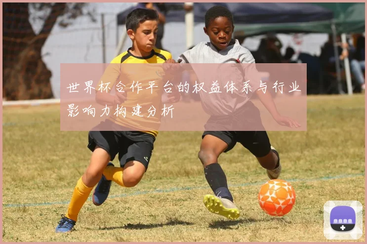 世界杯合作平台的权益体系与行业影响力构建分析
