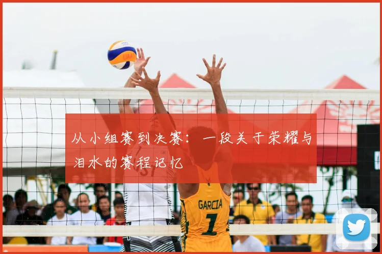 从小组赛到决赛：一段关于荣耀与泪水的赛程记忆